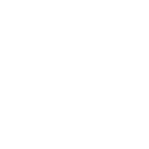 Marriage assistance icon